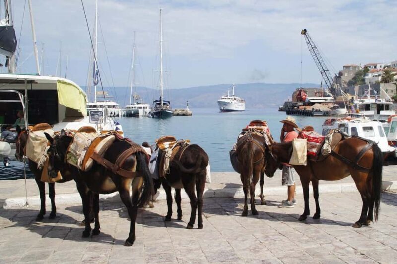 From Nafplio: A private excursion to Hydra - FAQ