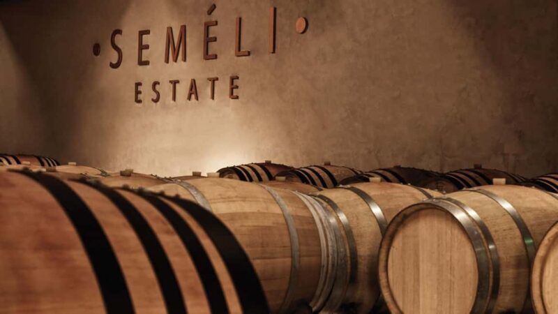 From Nafplio: Ancient Nemea & Cellar Wine Tasting Tour - Exploring Ancient Nemea: More Than Just Ruins