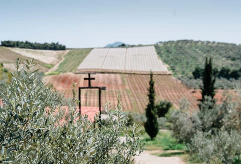 From Nafplion: Argos Castle & Olive Tasting Experience - Who Should Consider This Tour?