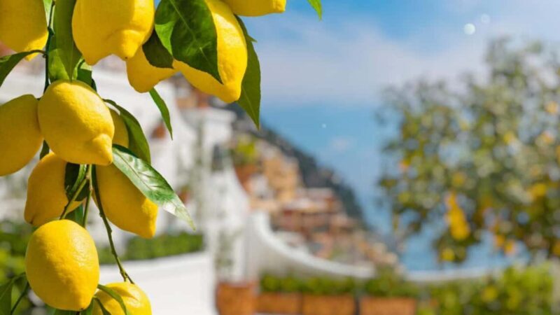 From Naples: Amalfi Coast, Sorrento and Limoncello Tasting - Real Traveler Insights
