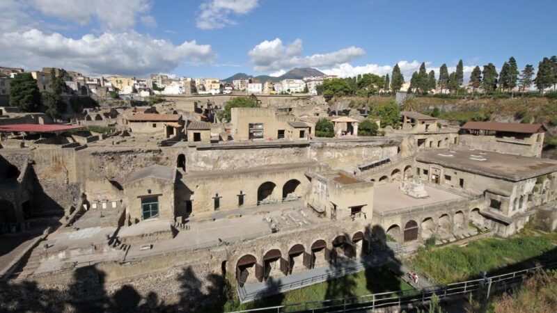 From Naples: Day Trip to Herculaneum with skip the line - Who Should Consider This Tour?