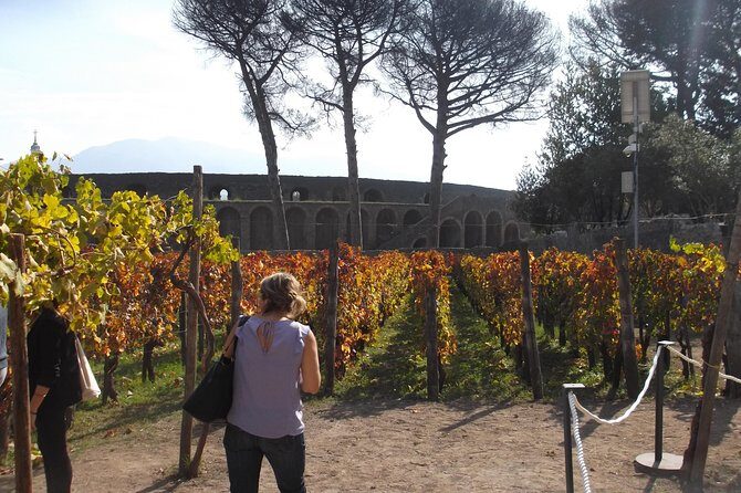 From Naples - Enjoy Pompeii drive tour with official Archaeological Guide - - FAQ