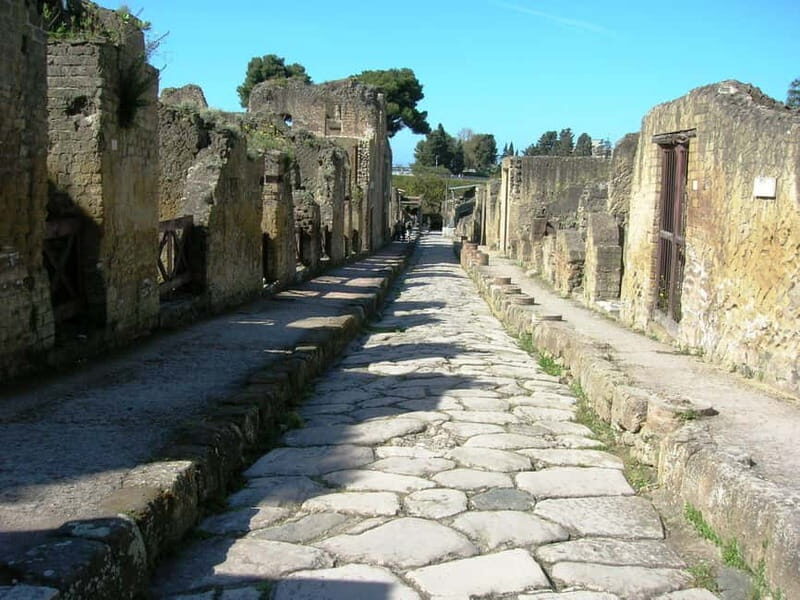 From Naples: Explore Herculaneum Ruins and Vesuvius - Transportation and Practicalities