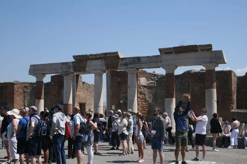 From Naples: Explore Pompeii and Vesuvius by bus - Who Will Love This Tour?