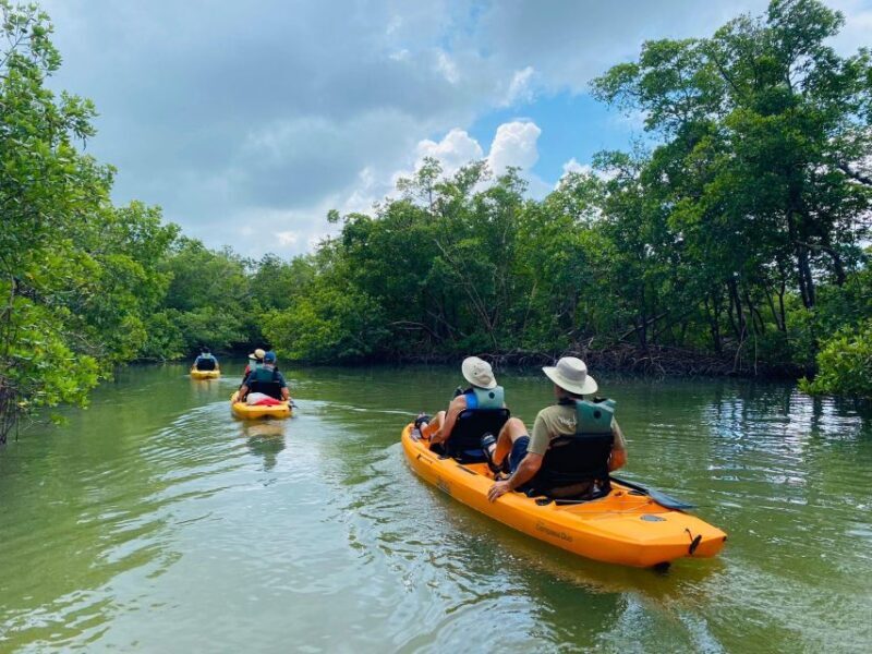 From Naples, FL: Marco Island Mangroves Kayak or Paddle Tour - FAQ