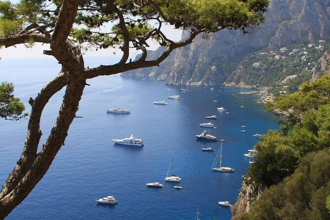 From Naples: Full-Day Capri Island and Blue Grotto Tour - Pricing and Overall Value