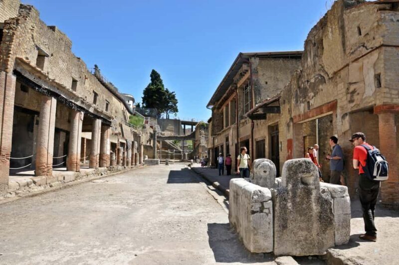 From Naples: Half-Day Herculaneum Tour with Lunch - The Experience in Detail