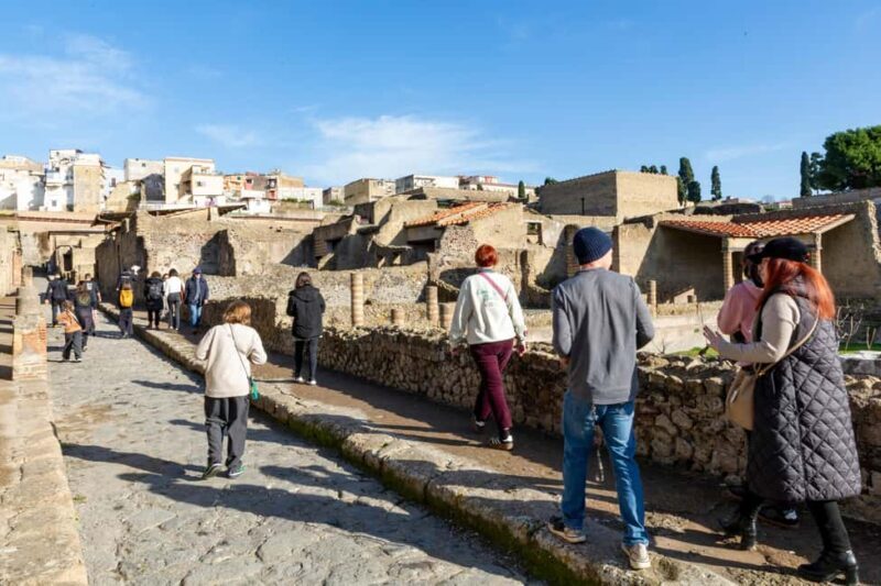 From Naples: Herculaneum Skip-the-Line Guided Tour - Practical Details and Tips