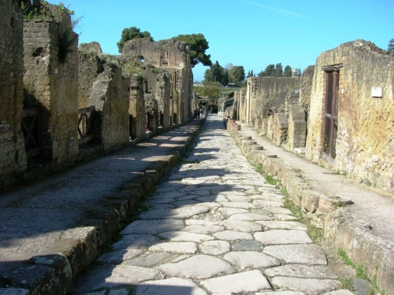 From Naples: Herculaneum Skip-the-Line Guided Tour - The Sum Up
