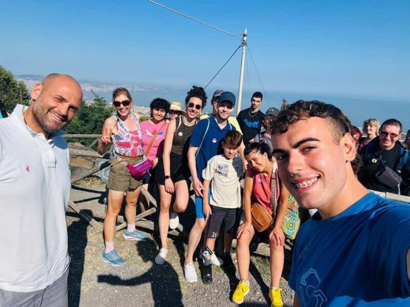 From Naples or Pompeii: Vesuvius Easy Tour - What to Expect on the Tour