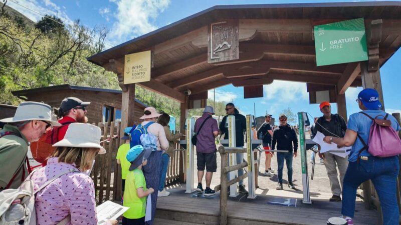 From Naples or Pompeii: Vesuvius Transfer and Entry Ticket - Key Points