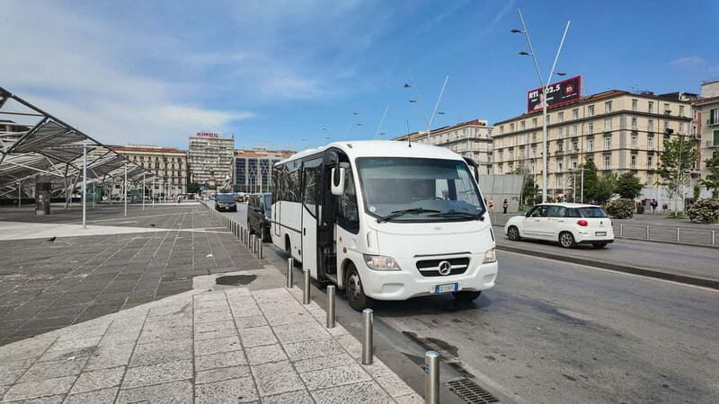 From Naples or Pompeii: Vesuvius Transfer and Entry Ticket - The Experience for Different Travelers