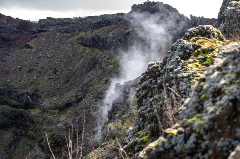 From Naples: Pompeii and Vesuvius Guided Day Trip with Lunch - Logistics and Practicalities