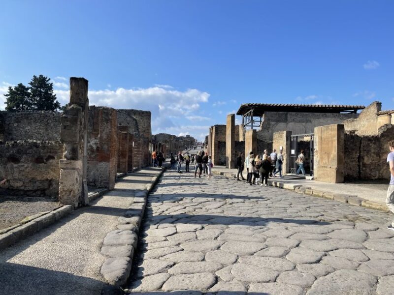 From Naples: Pompeii Guided Tour with Skip-the-Line Tickets - What to Expect from the Pompeii Guided Tour