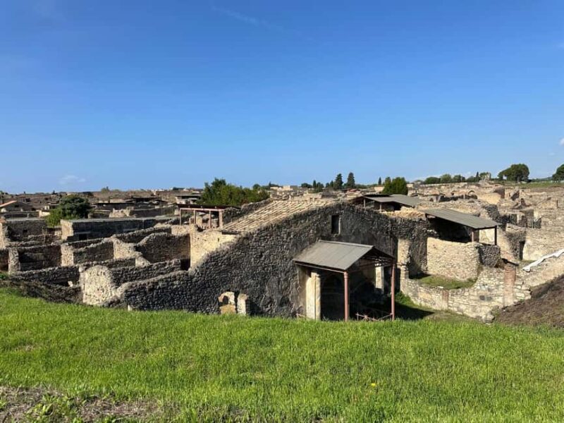 From Naples: Pompeii Ruins & Naples Walking Tour - Key Points