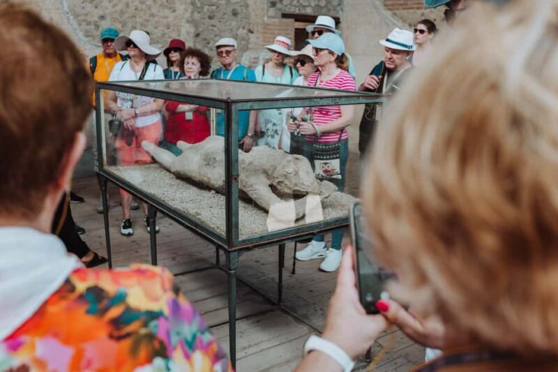 From Naples: Pompeii Small Group Tour - Key Points