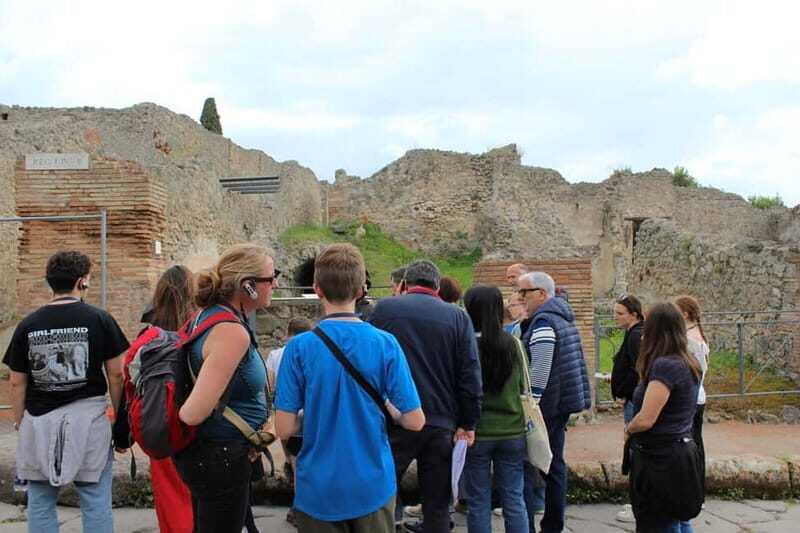 From Naples: Pompeii Tour with Guide, Driver & Ticket - Why You Might Want to Sign Up for This Tour