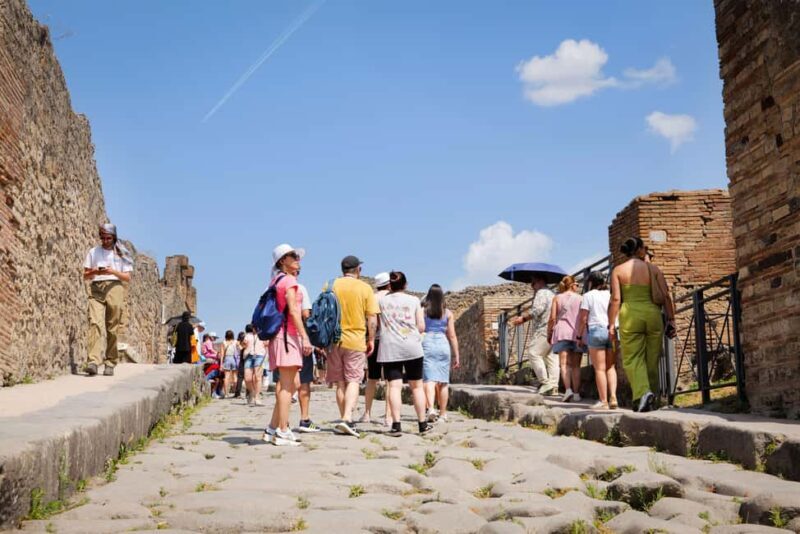 From Naples Port: Pompeii Guided Walking tour or Audioguide - Price and Value: Is it Worth It?