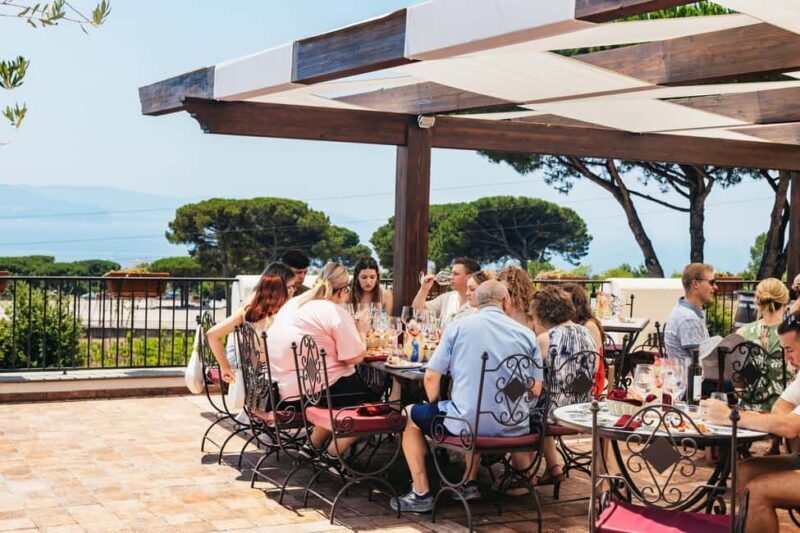 From Naples: Wine Tasting Tour on Vesuvius Slopes with Lunch - Key Points