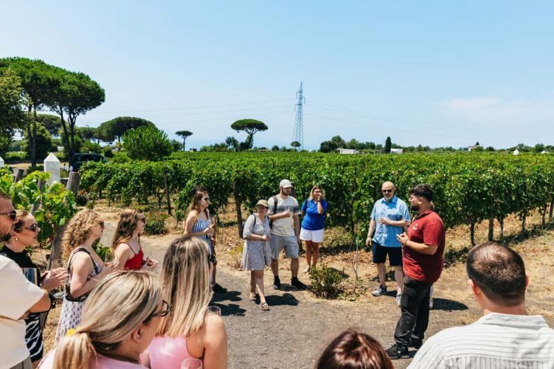 From Naples: Wine Tasting Tour on Vesuvius Slopes with Lunch - Final Thoughts