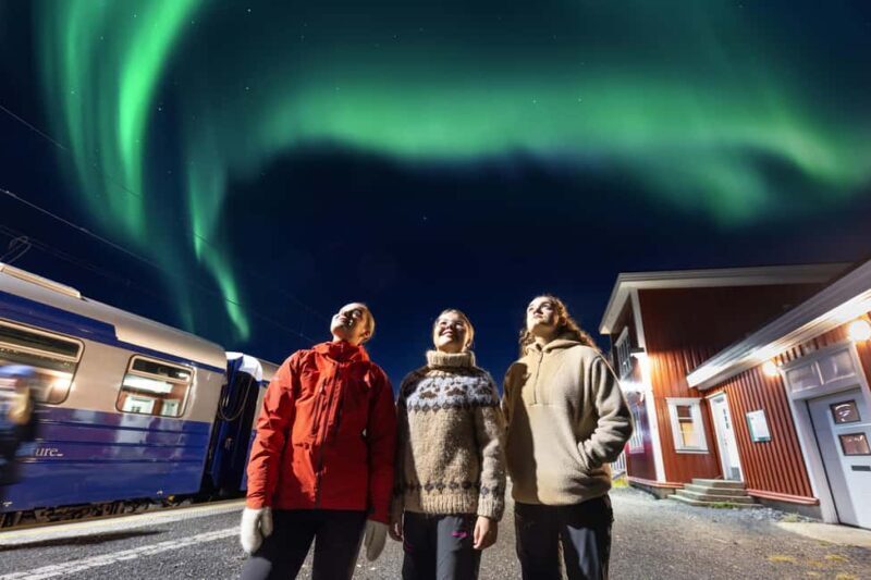 From Narvik: The Northern Lights Arctic Train Guided Tour - Returning and Reflecting