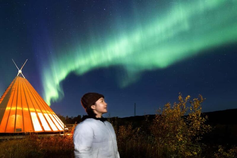 From Narvik: The Northern Lights Arctic Train Guided Tour - Who This Tour Is For