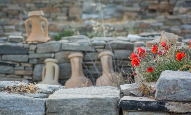 From Naxos: Delos and Mykonos Day Trip with Licensed Guide - Who Should Consider This Tour?