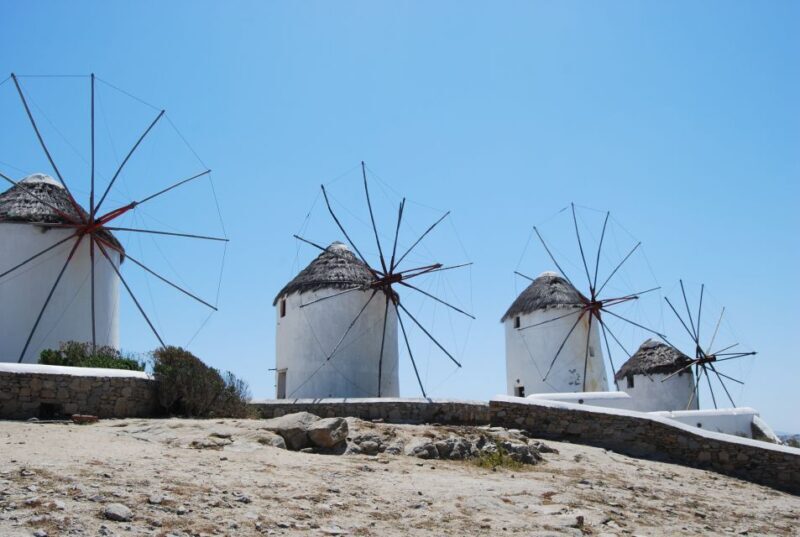 From Naxos: Delos and Mykonos Full-Day Boat Trip - Who Is This Tour Best For?