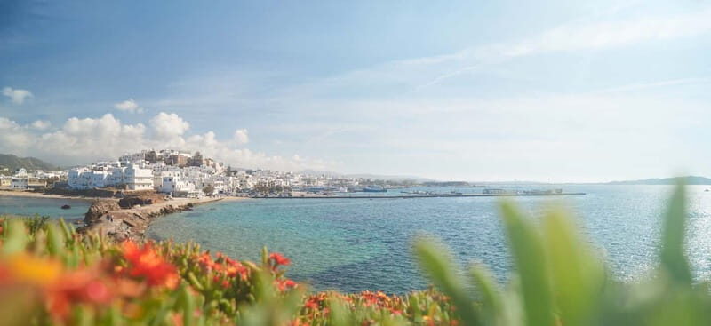 From Naxos: Delos and Mykonos Full-Day Trip - Mykonos: A lively, picturesque island