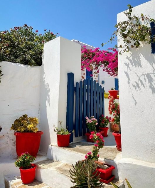 From Naxos: Iraklia and Koufonissia Full-Day Boat Trip - Who Should Consider This Tour