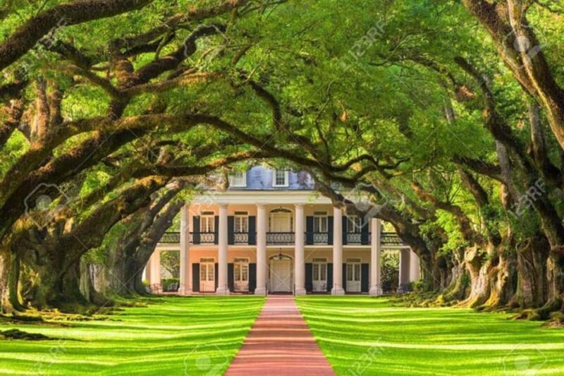 From New Orleans: Oak Alley and Laura Plantation Guided Tour - A Closer Look at the Tour Experience