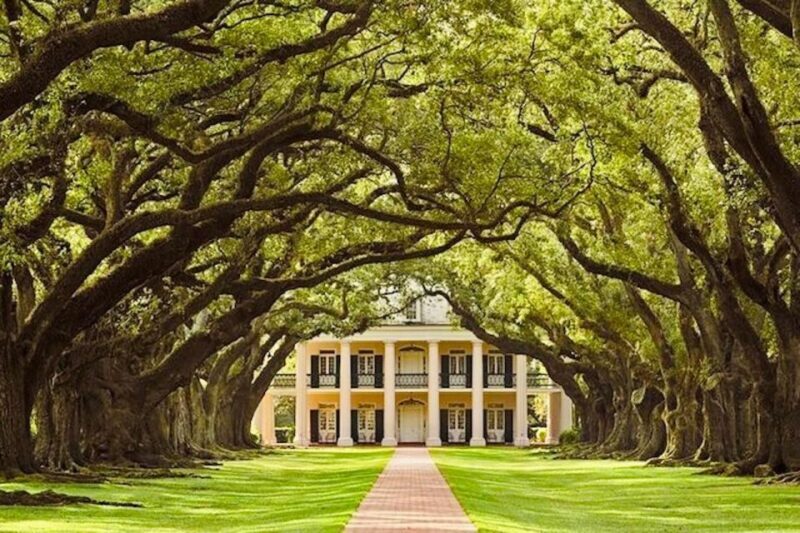 From New Orleans: Oak Alley or Laura Plantation Tour - Exploring the Tour Options: Oak Alley or Laura Plantation