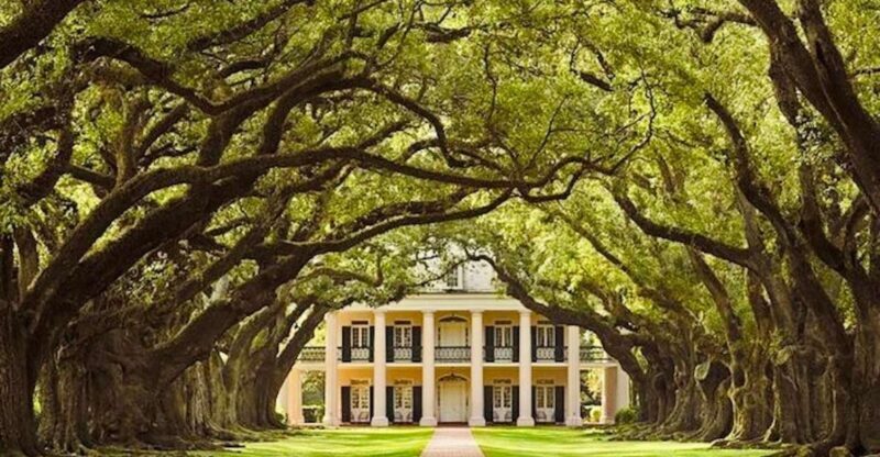 From New Orleans: Oak Alley or Laura Plantation Tour - The Experience: What You Can Expect