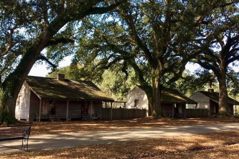 From New Orleans: Oak Alley or Laura Plantation Tour - Who Should Consider This Tour?