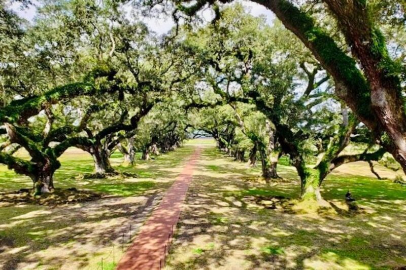 From New Orleans: Oak Alley or Laura Plantation Tour - Final Thoughts