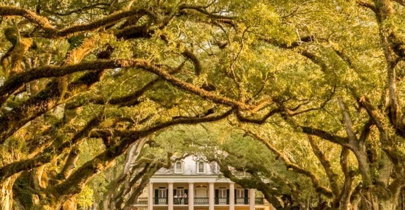 From New Orleans: Oak Alley Plantation Tour - A Closer Look at the Tour Itself