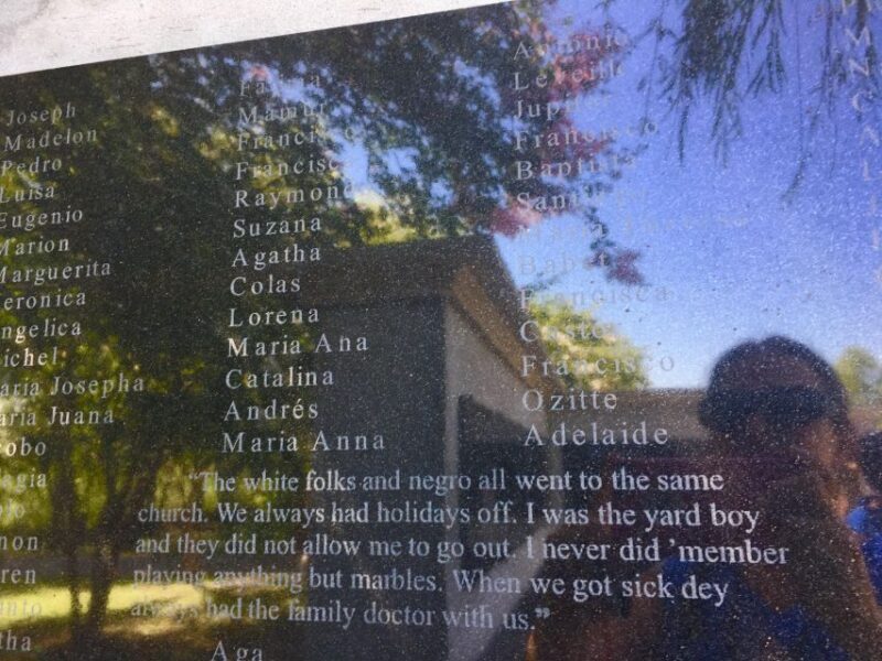 From New Orleans: Whitney and Laura Guided Plantation Tour - Key Points