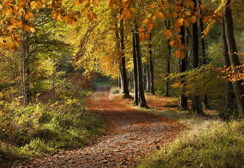 From Newcastle: Game of Thrones Tollymore Forest Trek - Final thoughts