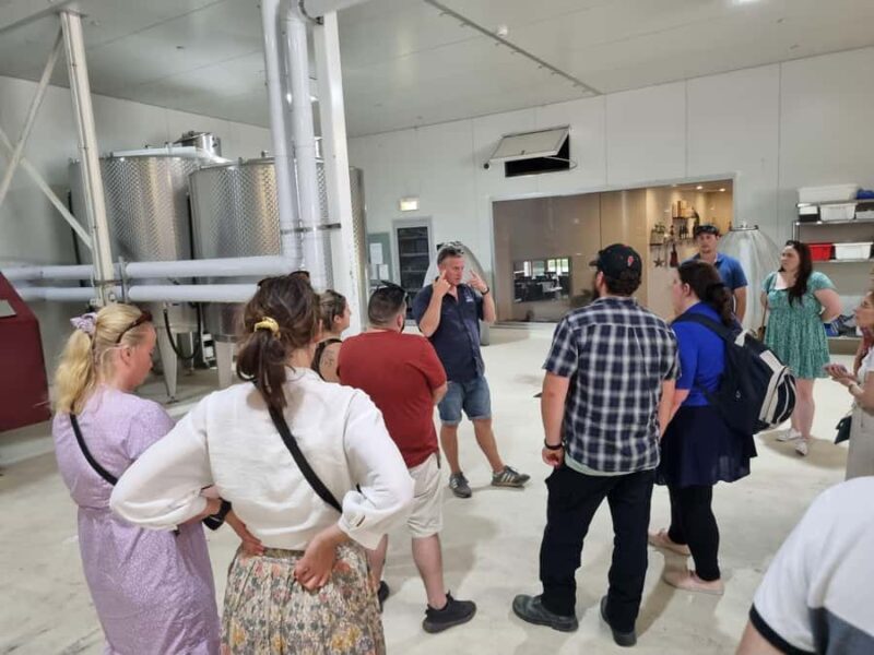 From Newcastle: Hunter Valley Beer & Wine Group Tour - The Sum Up