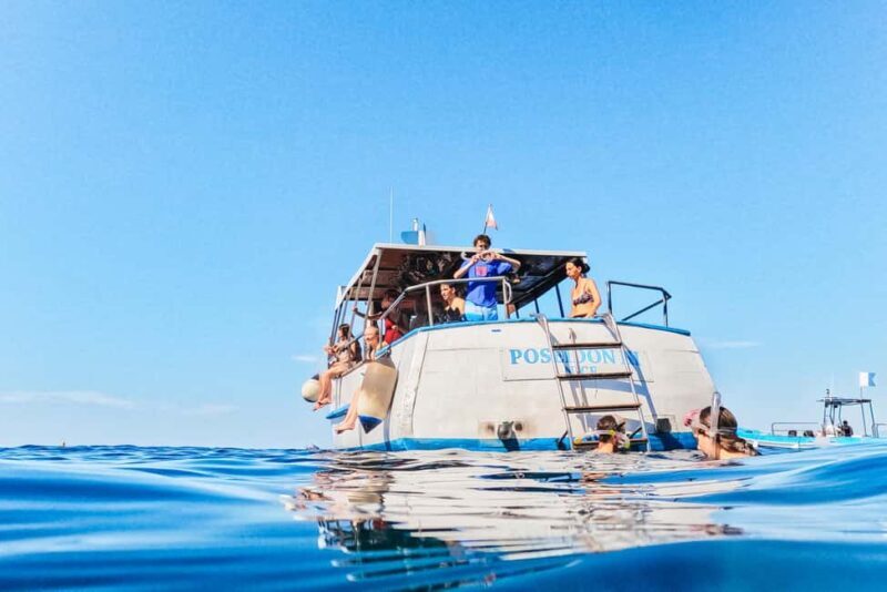 From Nice: French Riviera Swimming and Snorkeling Cruise - Key Points