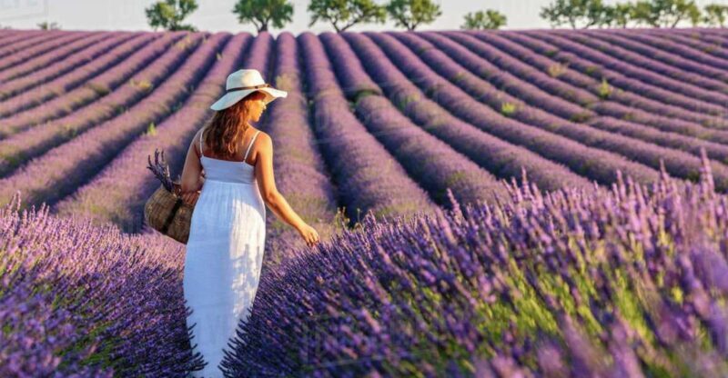 From Nice: Full-Day Provence and Lavender Tour - FAQs