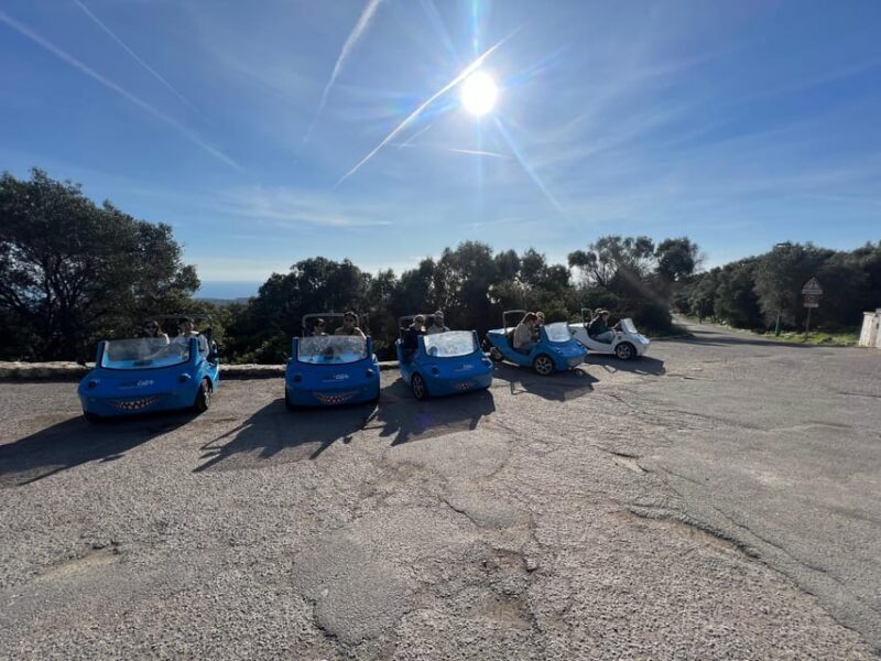 From Nice: Private French Riviera Tour by Open-Top Car - Why Choose This Tour?