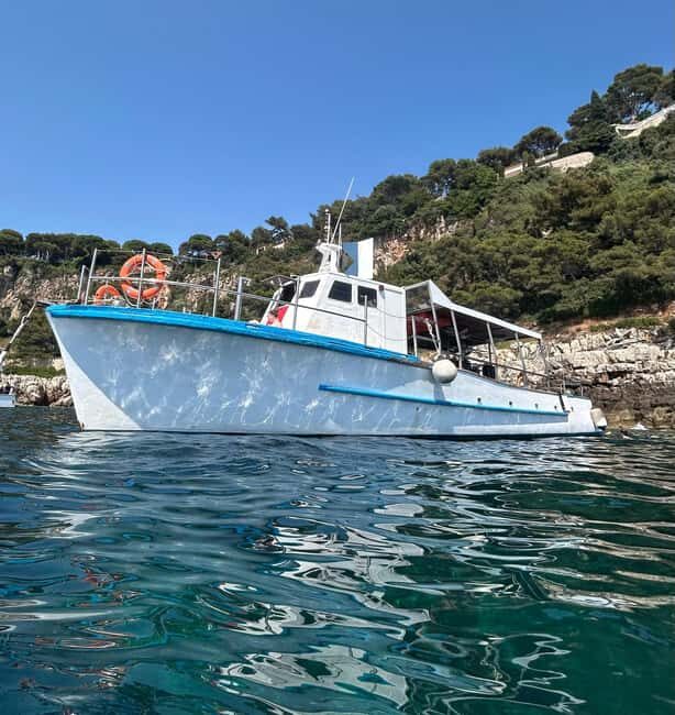 From Nice: Villefranche Bay Swimming & Snorkeling Boat Tour - What to Expect from the Tour
