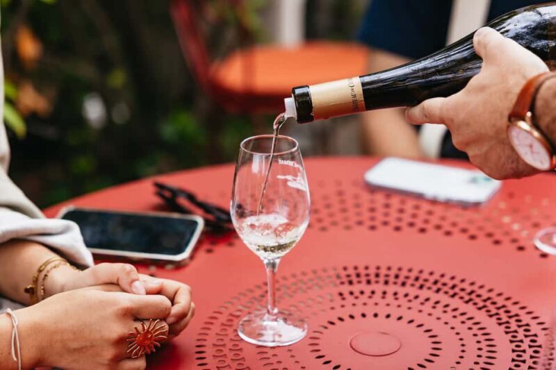 From Nice: Wine Tasting, Cannes, and Countryside Tour - Key Points