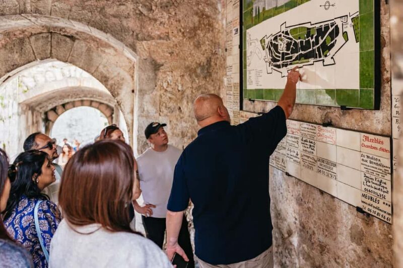 From Nice: Wine Tasting, Cannes, and Countryside Tour - Who Will Love This Experience?