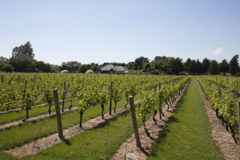 From NYC: Hamptons, Sag Harbor, and Outlet Shopping Day Trip - What to Expect from This Long Day Out