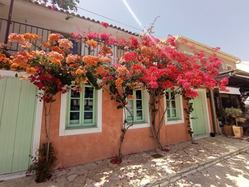 From Nydri: Boat to Kefalonia and Ithaki with Swim Stops - Key Points