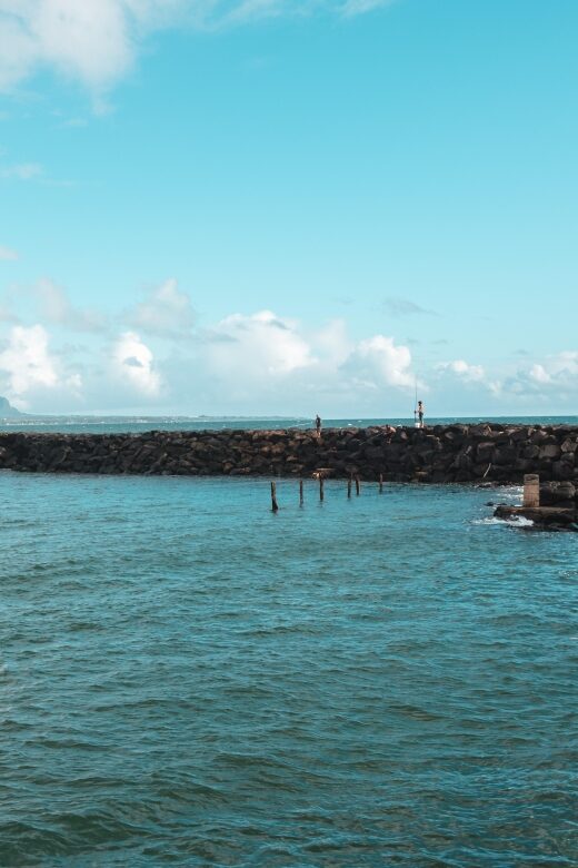 From Oahu: Kauai Highlights & Movie Sites - The Itinerary in Detail