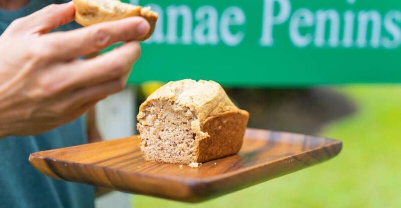 From Oahu: Maui Road to Hana Sightseeing Tour - Who Is This Tour Best For?