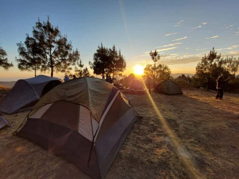 From Oaxaca: Apoala Magic Waterfalls Hike & Swim Adventure - Exploring Apoala: What the Tour Offers